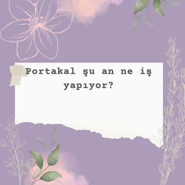 Portakal şu an ne iş yapıyor? 1