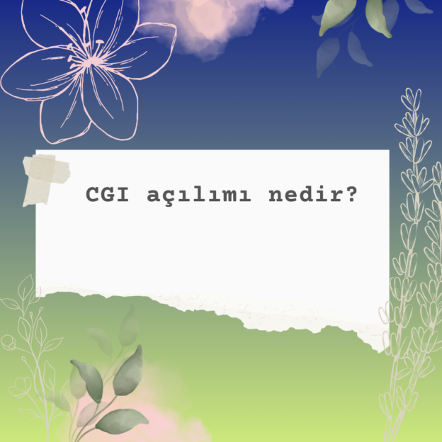 CGI açılımı nedir? 1