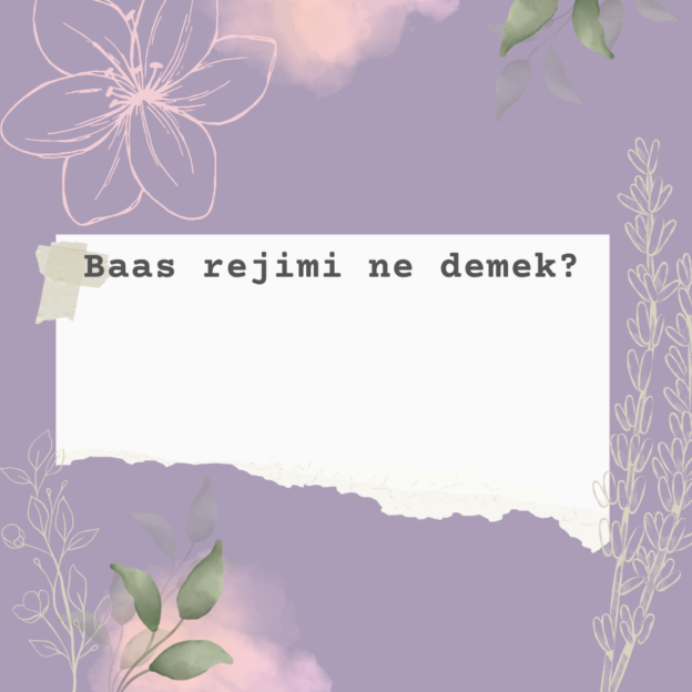 Baas rejimi ne demek? 1