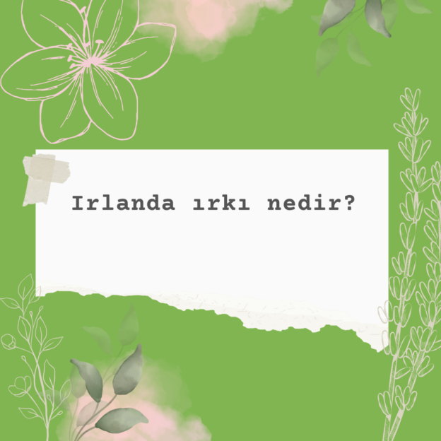 Irlanda ırkı nedir? 1