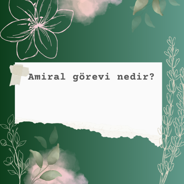 Amiral görevi nedir? 7