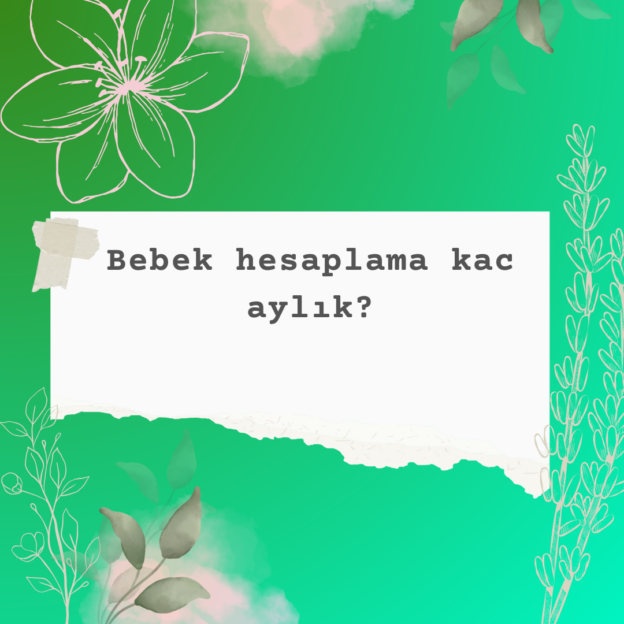 Bebek hesaplama kac aylık? 10