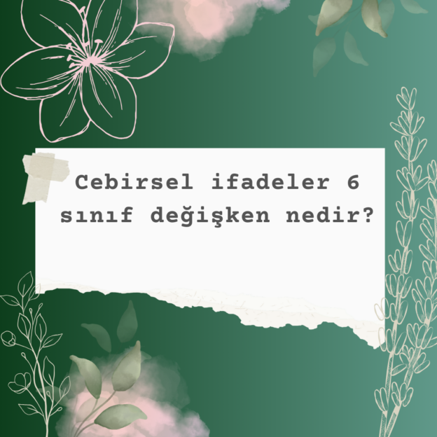 Cebirsel ifadeler 6 sınıf değişken nedir? 6