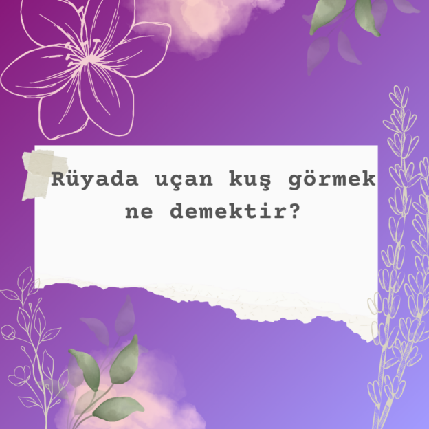 Rüyada uçan kuş görmek ne demektir? 1