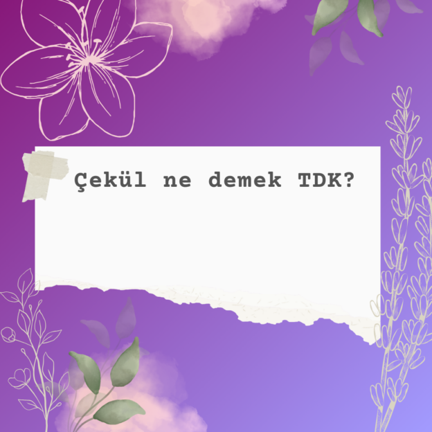 Çekül ne demek TDK? 1