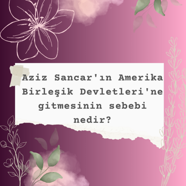 Aziz Sancar'ın Amerika Birleşik Devletleri'ne gitmesinin sebebi nedir? 6