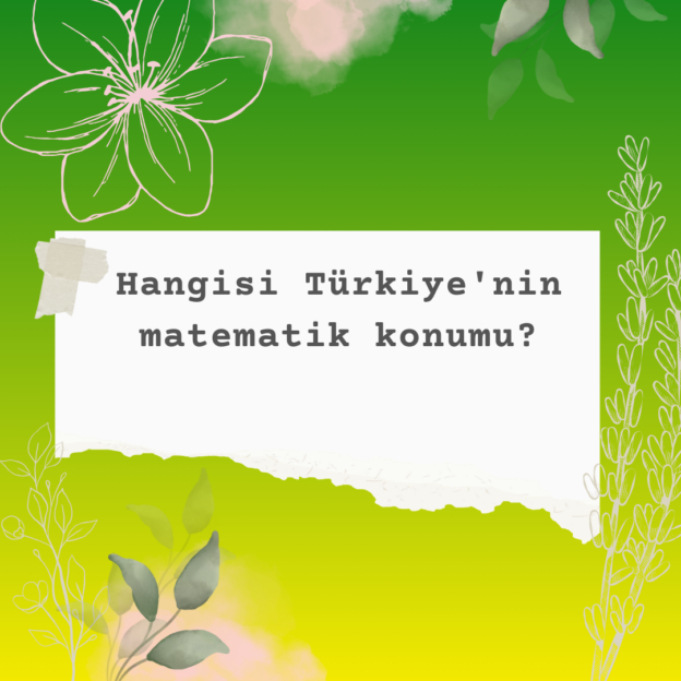 Hangisi Türkiye'nin matematik konumu? 4