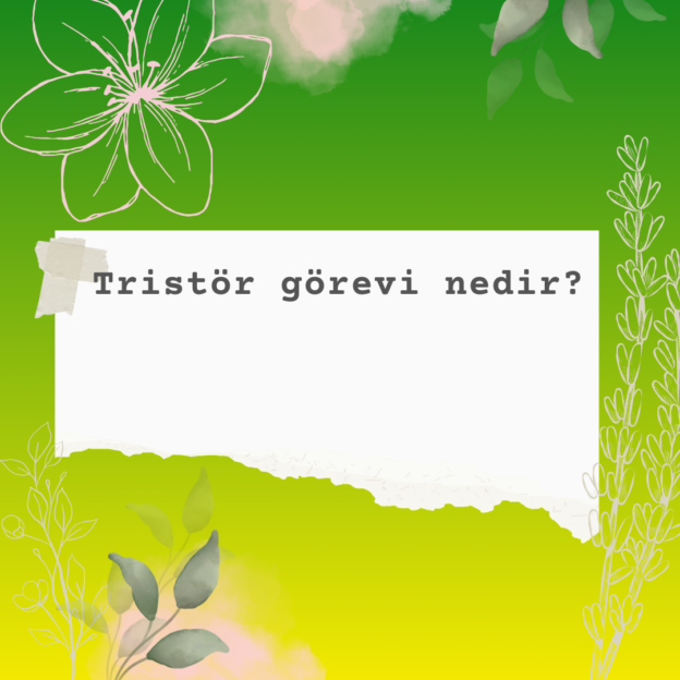 Tristör görevi nedir? 1