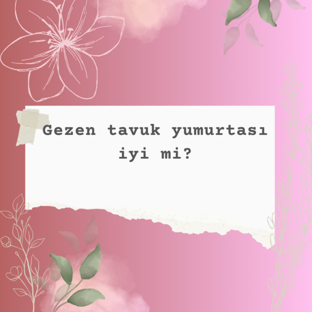 Gezen tavuk yumurtası iyi mi? 8