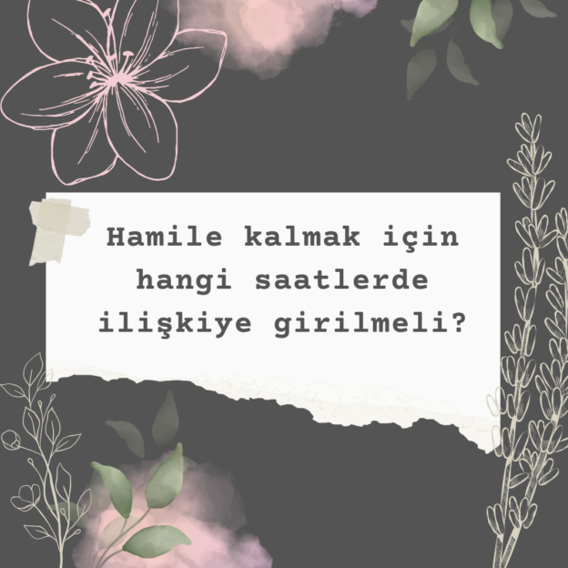 Hamile kalmak için hangi saatlerde ilişkiye girilmeli? 1