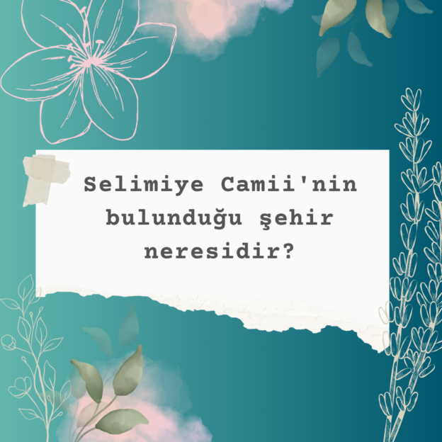 Selimiye Camii'nin bulunduğu şehir neresidir? 4