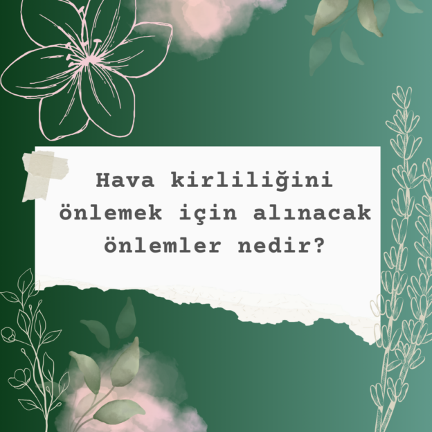 Hava kirliliğini önlemek için alınacak önlemler nedir? 5