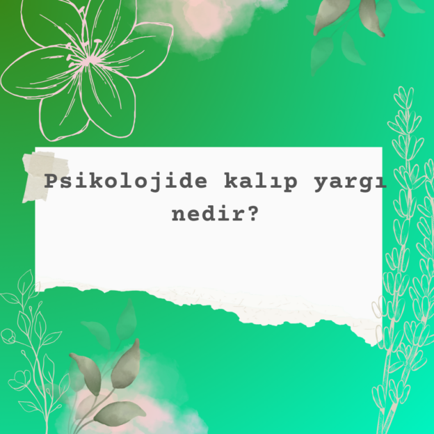 Psikolojide kalıp yargı nedir? 1