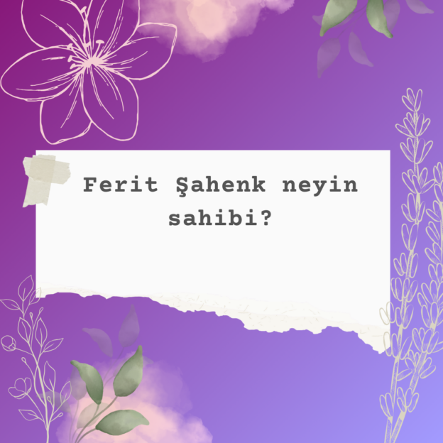 Ferit Şahenk neyin sahibi? 1