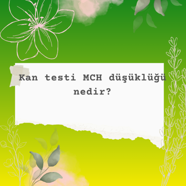 Kan testi MCH düşüklüğü nedir? 3