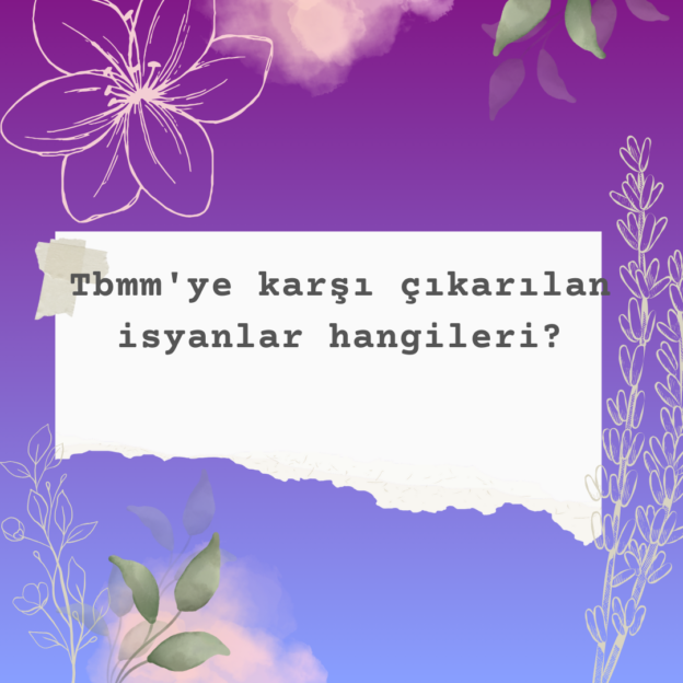 Tbmm'ye karşı çıkarılan isyanlar hangileri? 4