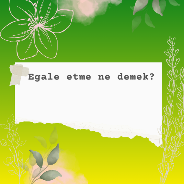 Egale etme ne demek? 8