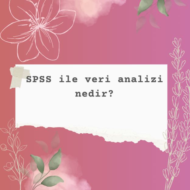 SPSS ile veri analizi nedir? 1