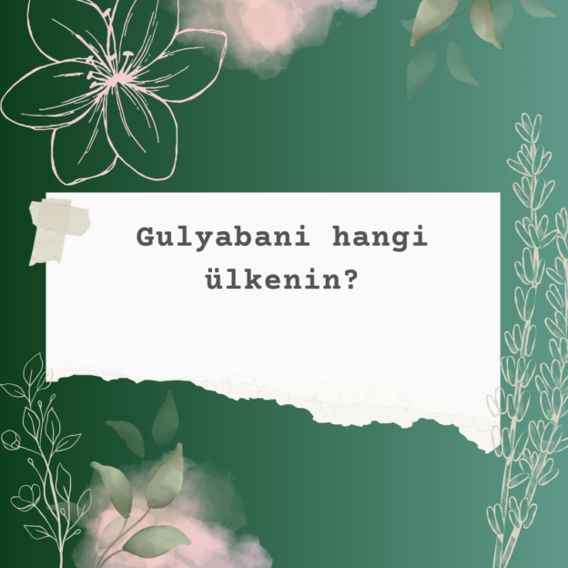 Gulyabani hangi ülkenin? 9