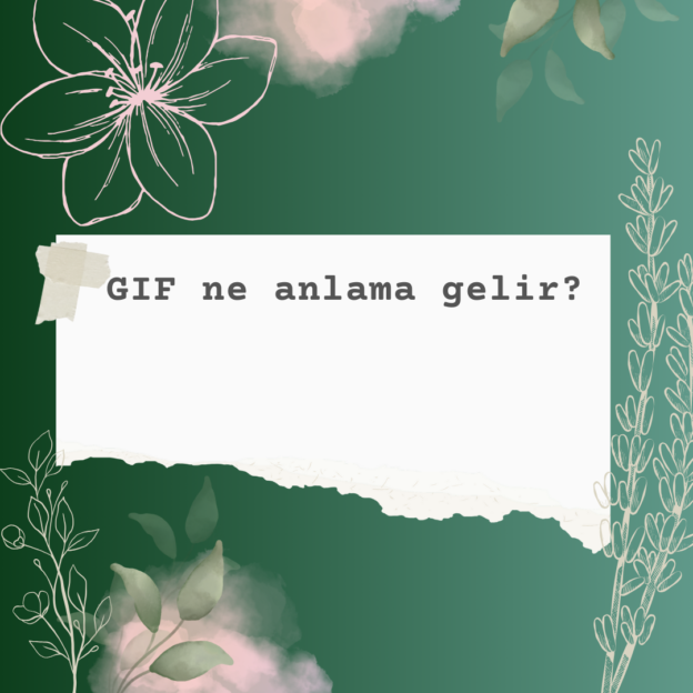 GIF ne anlama gelir? 7