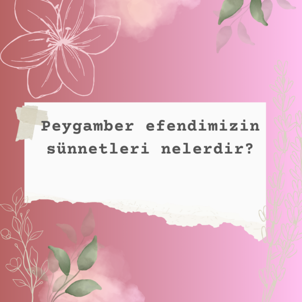 Peygamber efendimizin sünnetleri nelerdir? 8