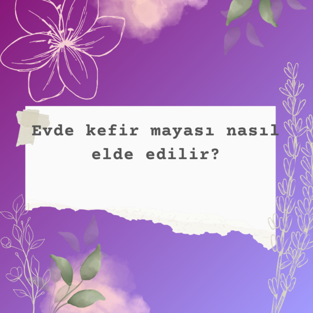 Evde kefir mayası nasıl elde edilir? 1