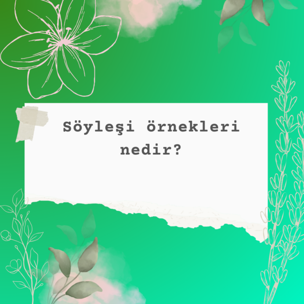 Söyleşi örnekleri nedir? 1