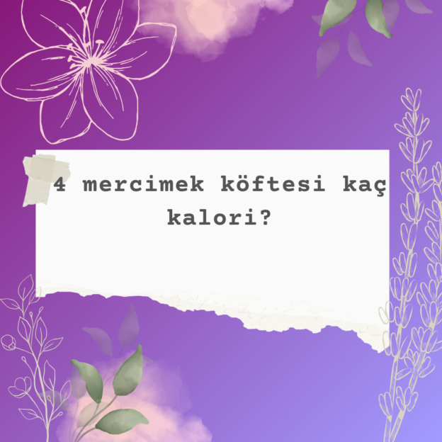 4 mercimek köftesi kaç kalori? 1