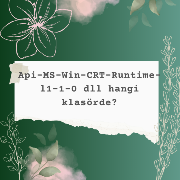 Api-MS-Win-CRT-Runtime-l1-1-0 dll hangi klasörde? 1