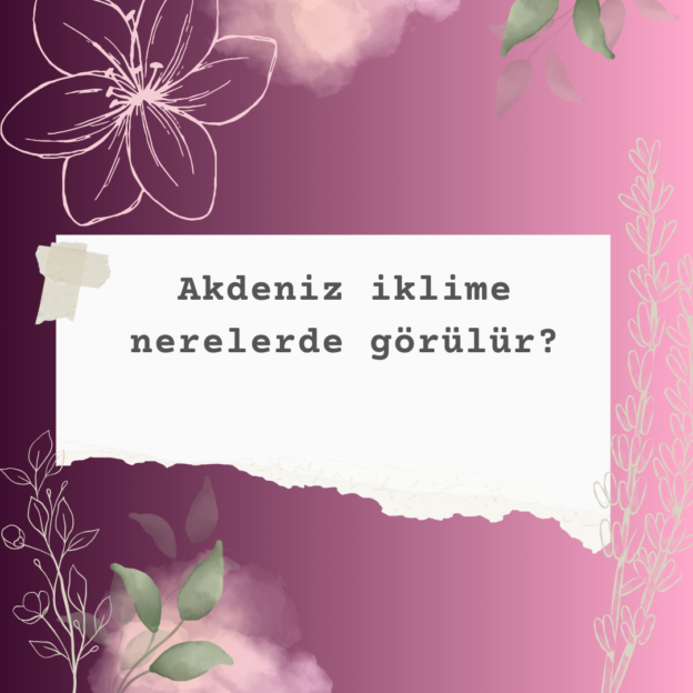 Akdeniz iklime nerelerde görülür? 6