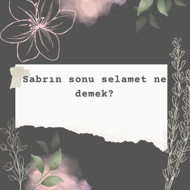 Sabrın sonu selamet ne demek? 4