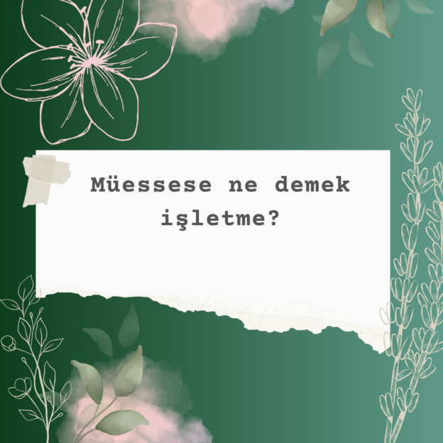 Müessese ne demek işletme? 8