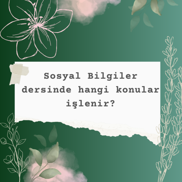 Sosyal Bilgiler dersinde hangi konular işlenir? 4