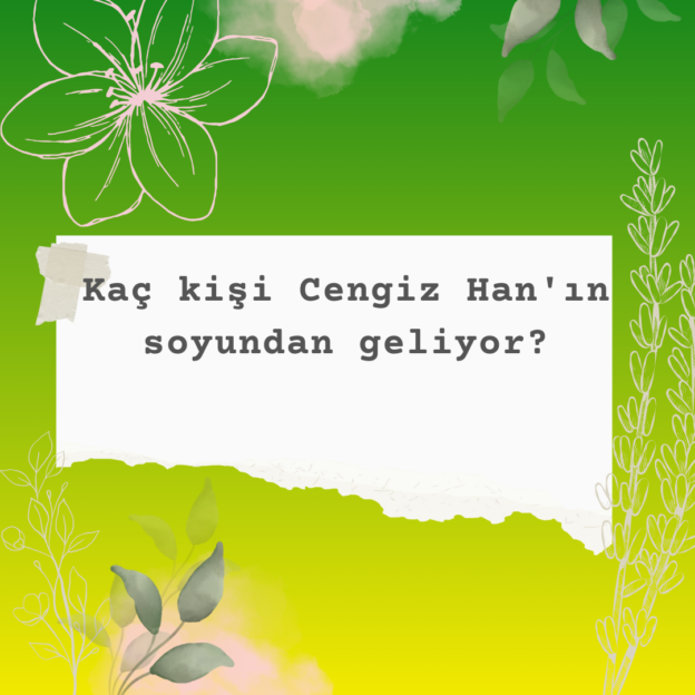 Kaç kişi Cengiz Han'ın soyundan geliyor? 7