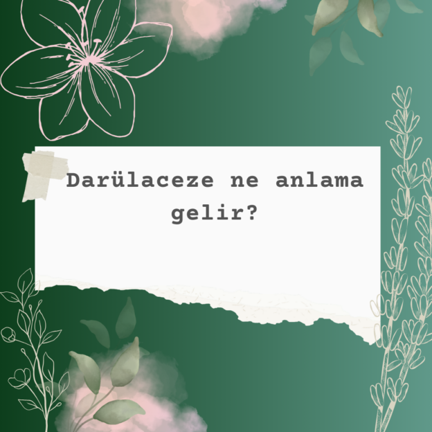 Darülaceze ne anlama gelir? 8