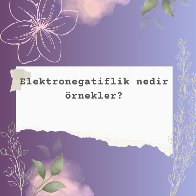 Elektronegatiflik nedir örnekler? 1