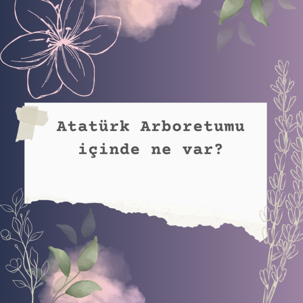 Atatürk Arboretumu içinde ne var? 1