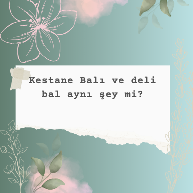 Kestane Balı ve deli bal aynı şey mi? 9