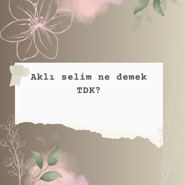 Aklı selim ne demek TDK? 1