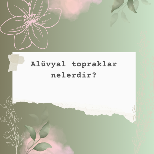 Alüvyal topraklar nelerdir? 1