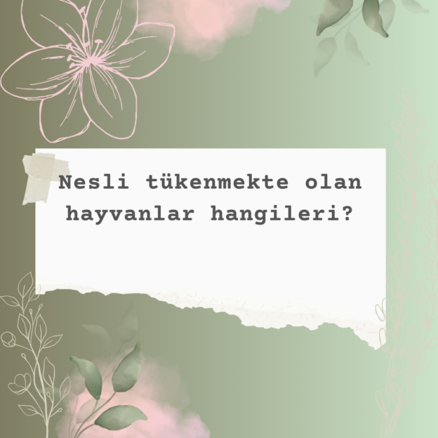 Nesli tükenmekte olan hayvanlar hangileri? 1