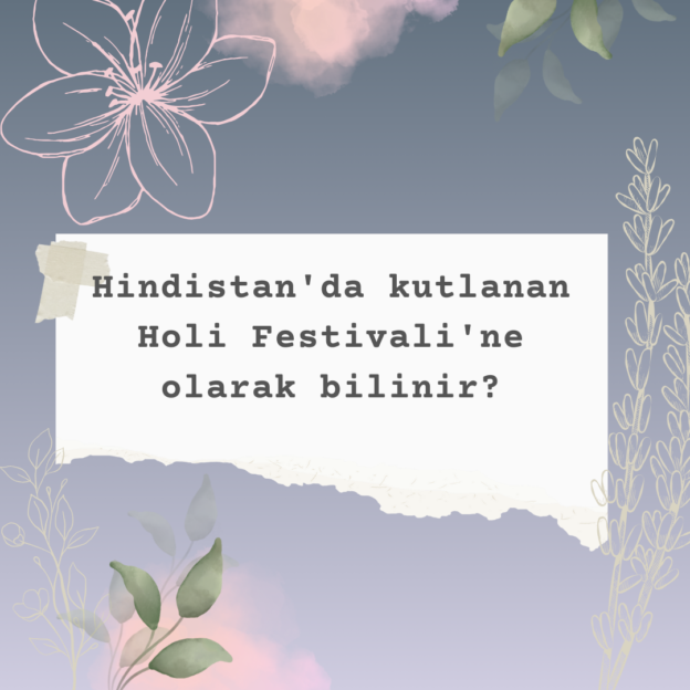 Hindistan'da kutlanan Holi Festivali'ne olarak bilinir? 9