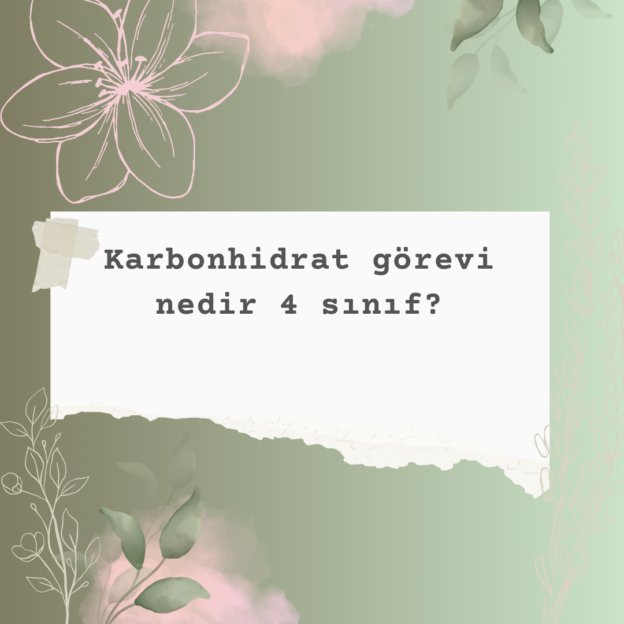 Karbonhidrat görevi nedir 4 sınıf? 1