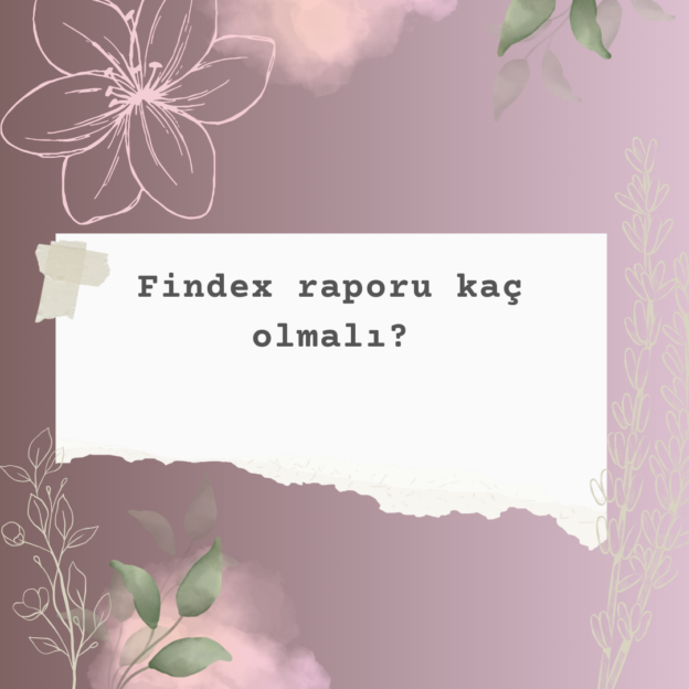 Findex raporu kaç olmalı? 1