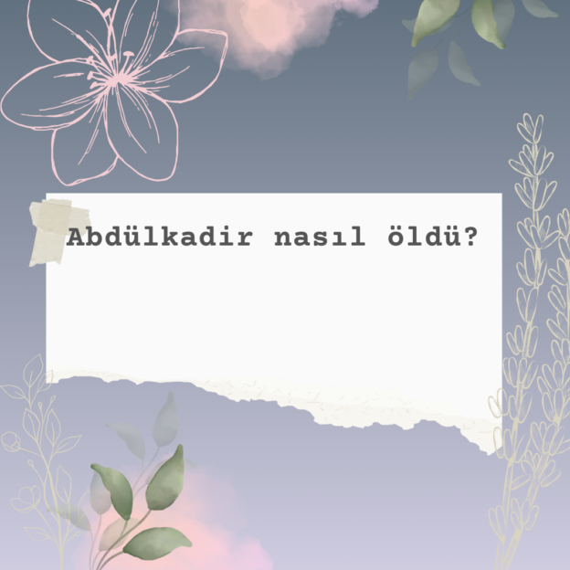 Abdülkadir nasıl öldü? 5